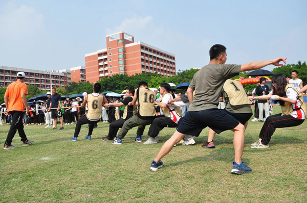 老澳门原料