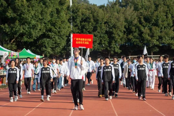 老澳门原料