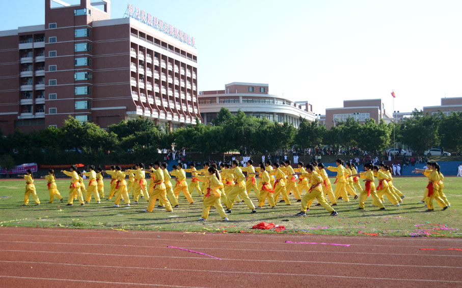 老澳门原料