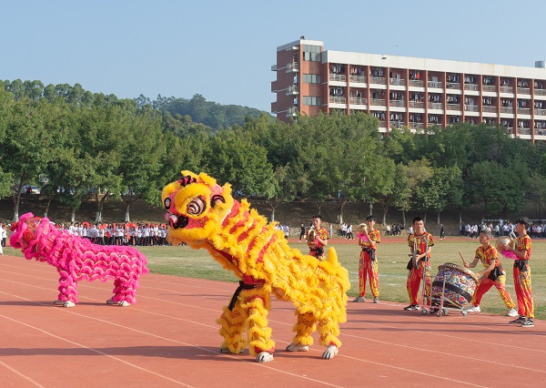 老澳门原料